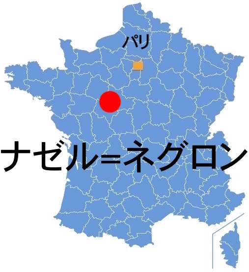 Paris_NazellesN.jpg