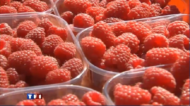fruitrougeTV.jpg